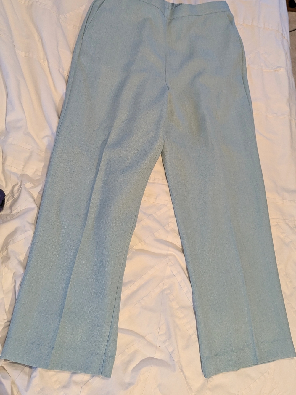 Alfred Dunner Light Blue Pants